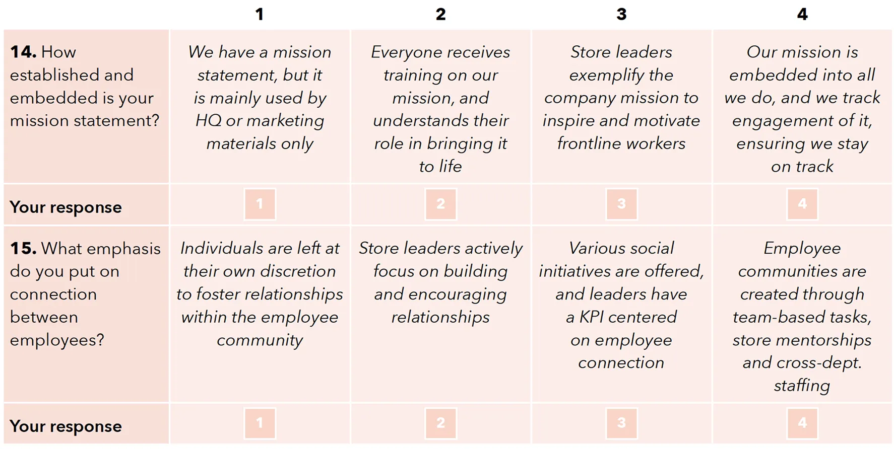 Question 14: How established and embedded is your mission statement? 1 point: We have a mission statement, but it is mainly used by HQ or marketing materials only. 2 points: Everyone receives training on our mission, and understands their role in bringing it to life. 3 points: Store leaders exemplify the company mission to inspire and motivate frontline workers. 4 points: Our mission is embedded into all we do, and we track engagement of it, ensuring we stay on track. Question 15: What emphasis do you put on connection between employees? 1 point: Individuals are left at their own discretion to foster relationships within the employee community. 2 points: Store leaders actively focus on building and encouraging relationships. 3 points: Various social initiatives are offered, and leaders have a KPI centered on employee connection. 4 points: Employee communities are created through team-based tasks, store mentorships and cross-department staffing.