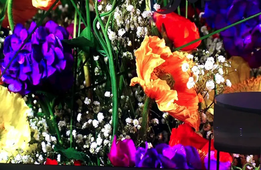 3D resolution set of panels showing flowers in a large wall display